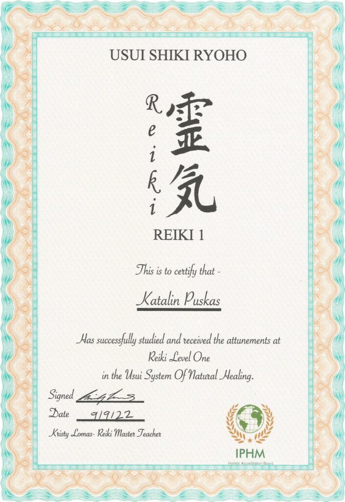 0 reiki certificate